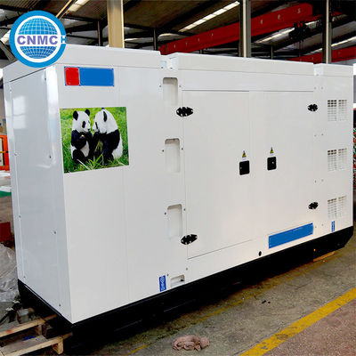50Hz 60Hz CUMMINS Diesel Generator Multi Function Electric Manual